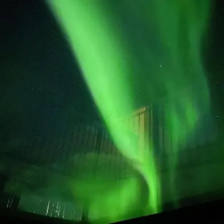 Polaris Igloo By Aavalevi Levi