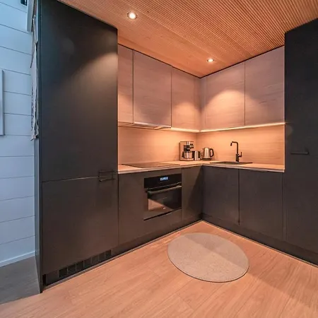 Polaris Igloo By Aavalevi Villa Levi